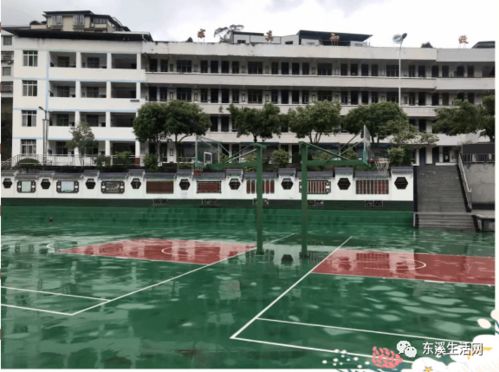 蒼溪縣東溪初級中學校2020年秋七年級招生啦