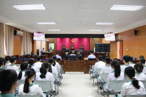 零距離 旁聽庭審, 面對面 法治教育