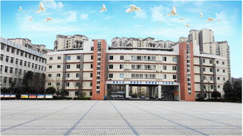 四川省簡陽市高級職業(yè)中學圖片 照片